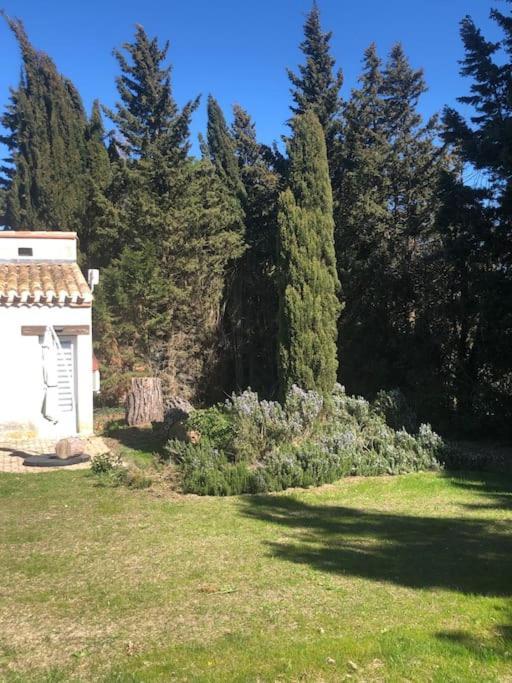Gîte la Lezardière accès privé canal du midi ** Castelnaudary Exterior foto